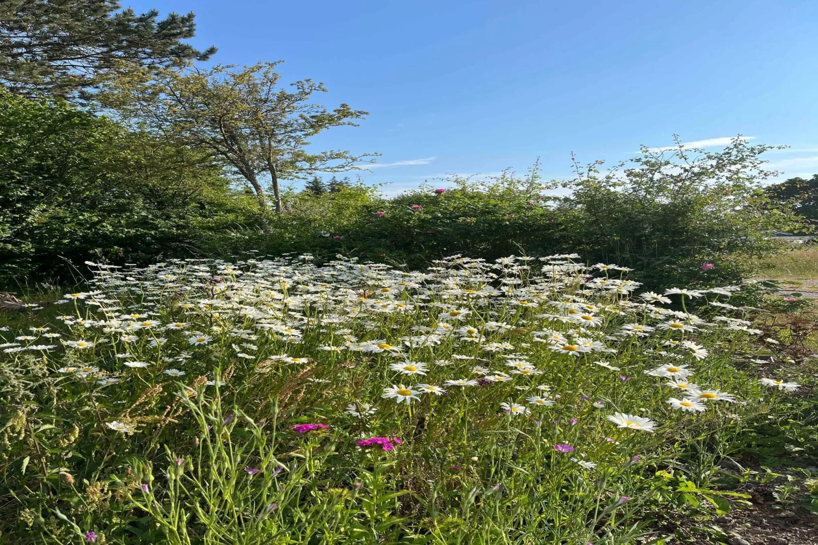 5 star holiday home in Tranekær-Untagged