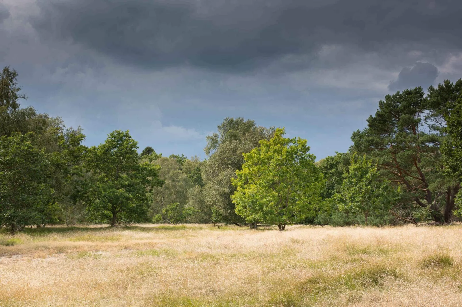 5 Sterne Ferienhaus in Vejby-Im Freien