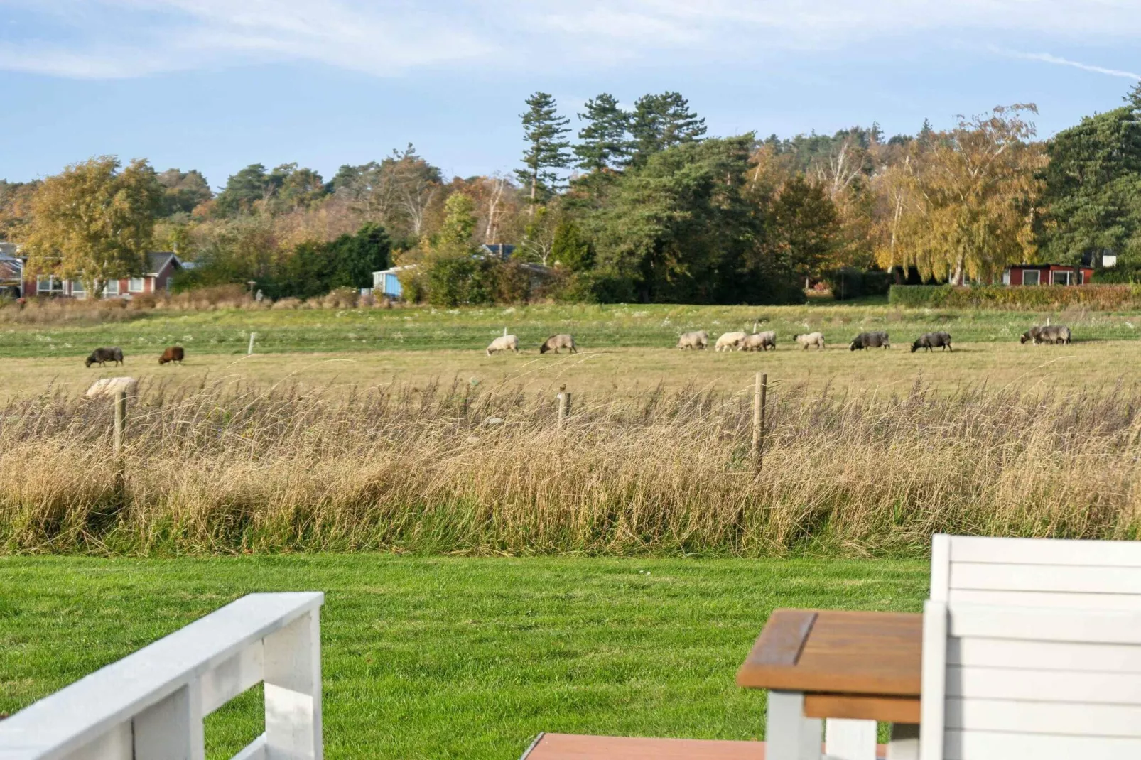 5 etoiles maison de vacances a Ølsted-Extérieur
