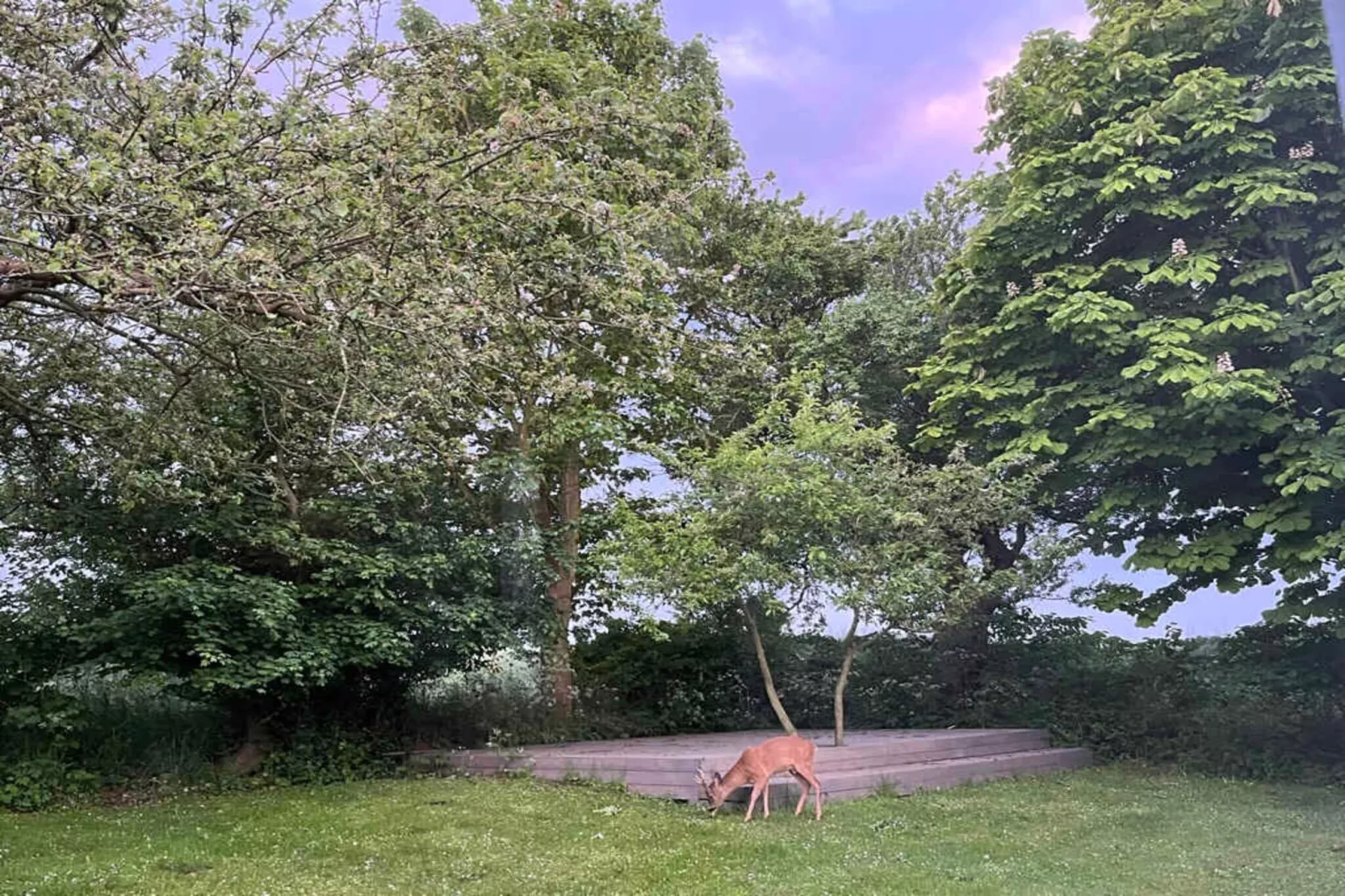 5 star holiday home in Borre-Outdoor