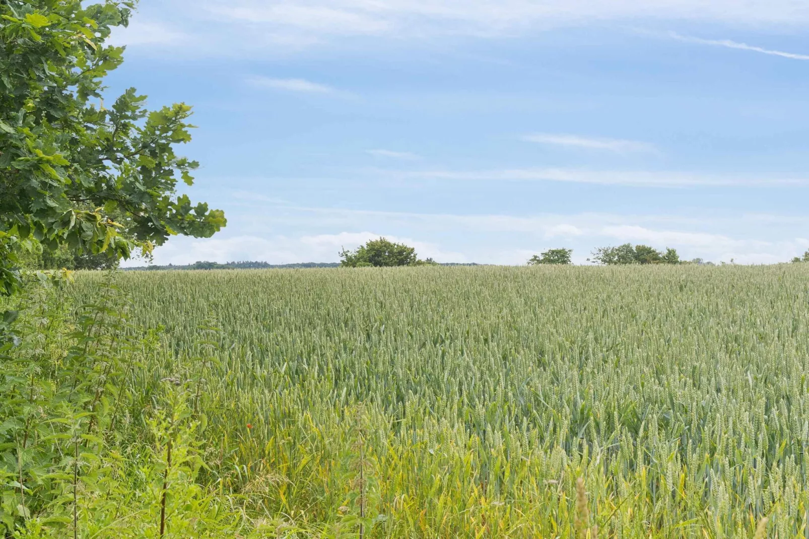 5 Sterne Ferienhaus in Vesterborg-Im Freien