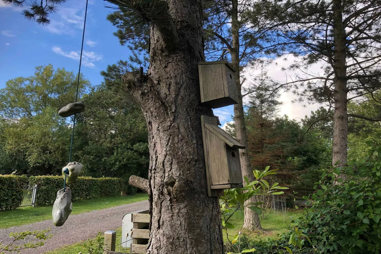 5 Sterne Ferienhaus in Rødby-Im Freien
