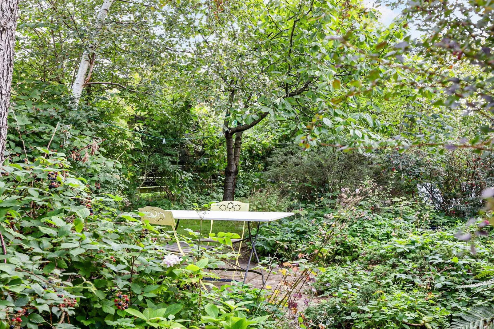 5 Sterne Ferienhaus in Fårevejle-Im Freien