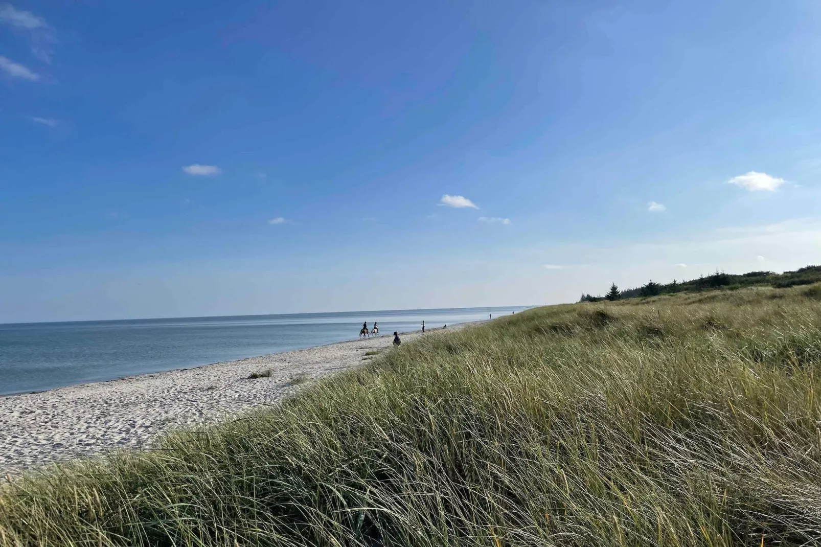5 Sterne Ferienhaus in Hals-Im Freien