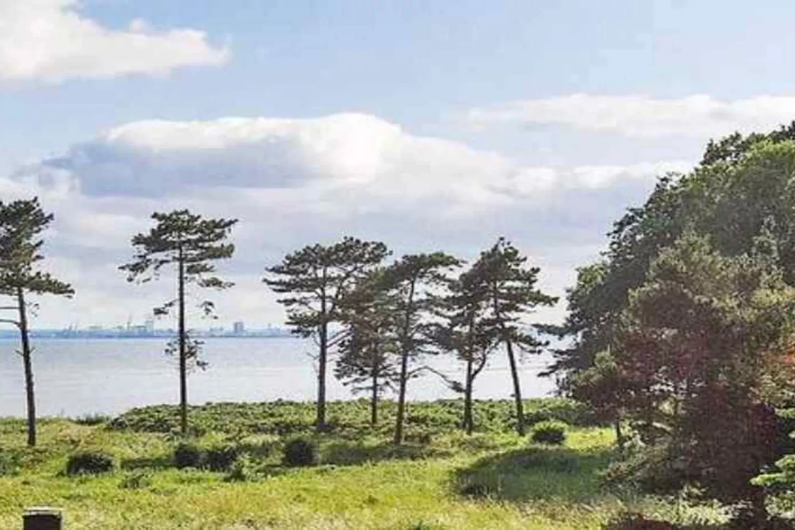 5 star holiday home in Knebel-Outdoor