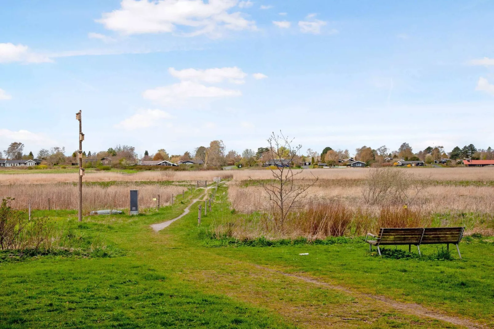 5 Sterne Ferienhaus in Hornbæk-Im Freien