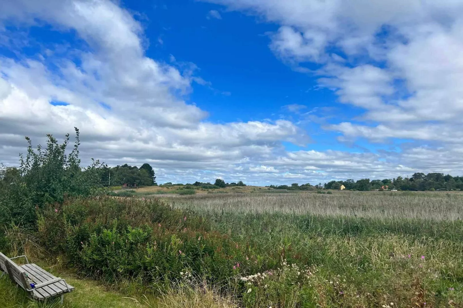 5 star holiday home in Dronningmølle-Outdoor