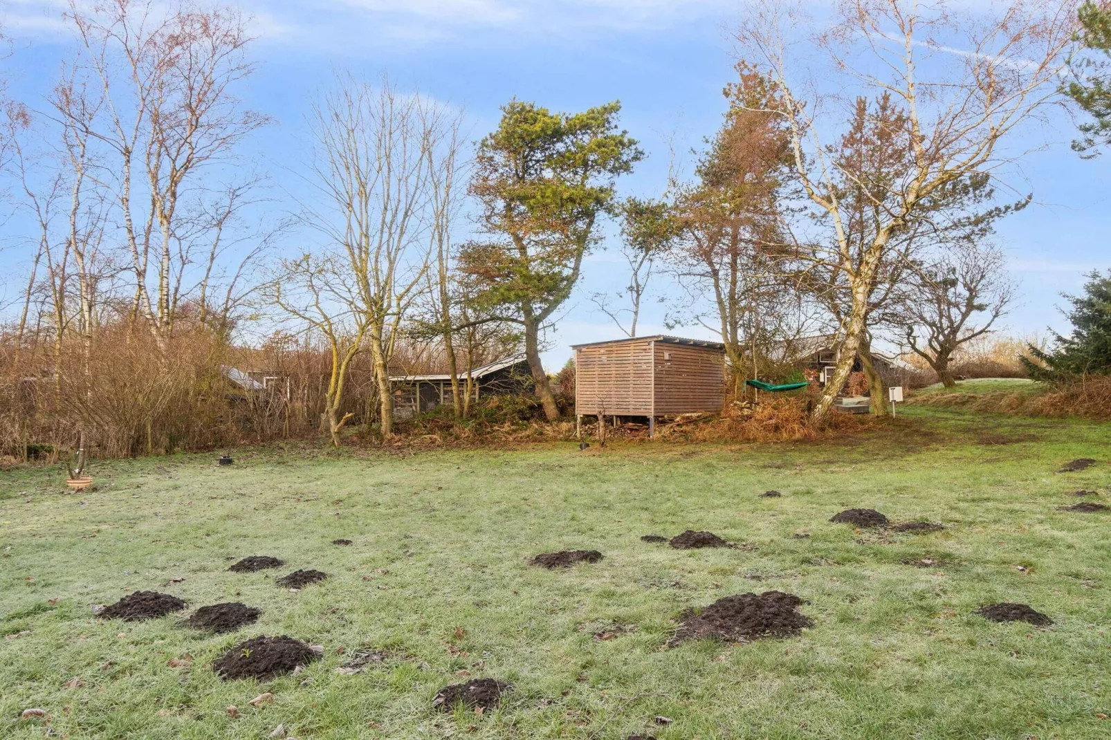 5 Sterne Ferienhaus in Grenaa-Im Freien