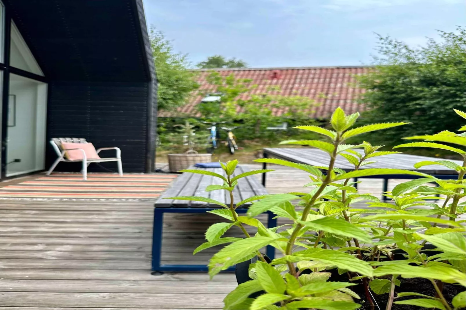 5 star holiday home in Nexø-Outdoor