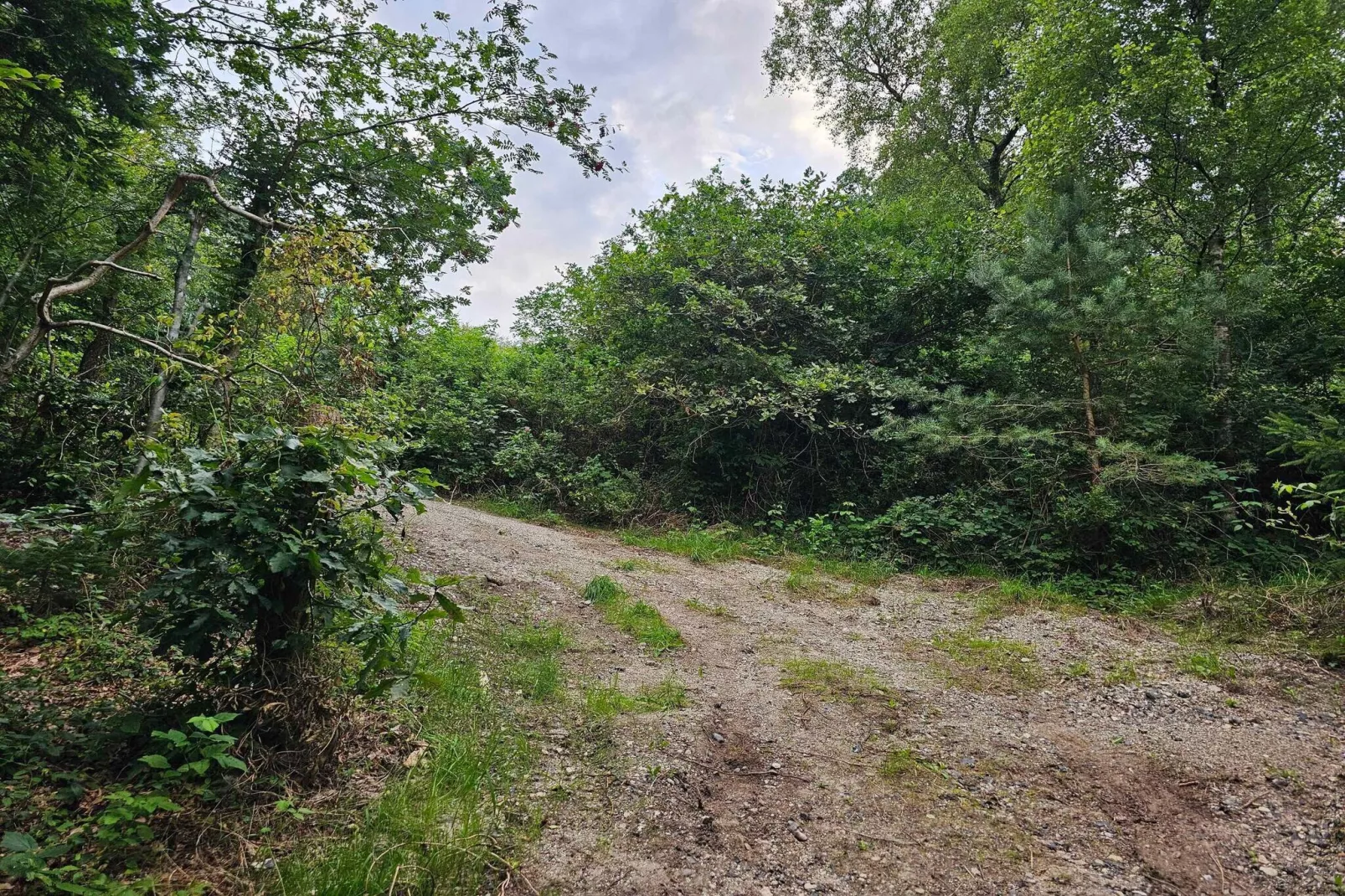 5 Sterne Ferienhaus in Ebeltoft-Im Freien