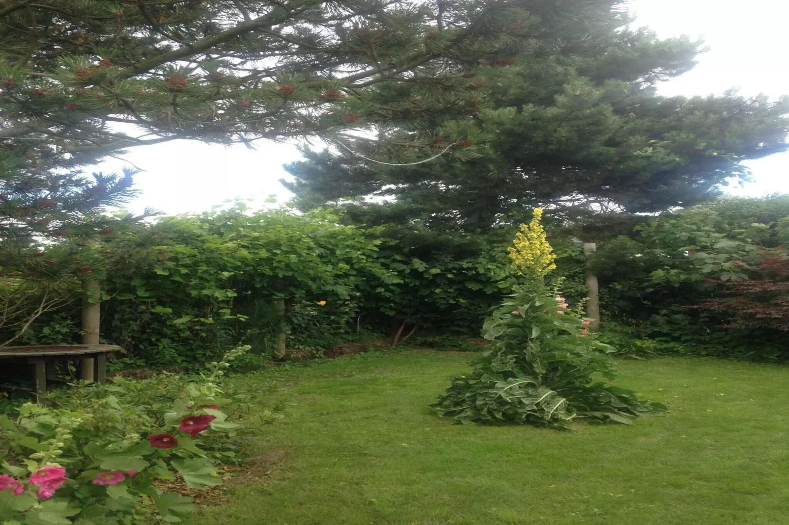 5 star holiday home in Faaborg-Outdoor