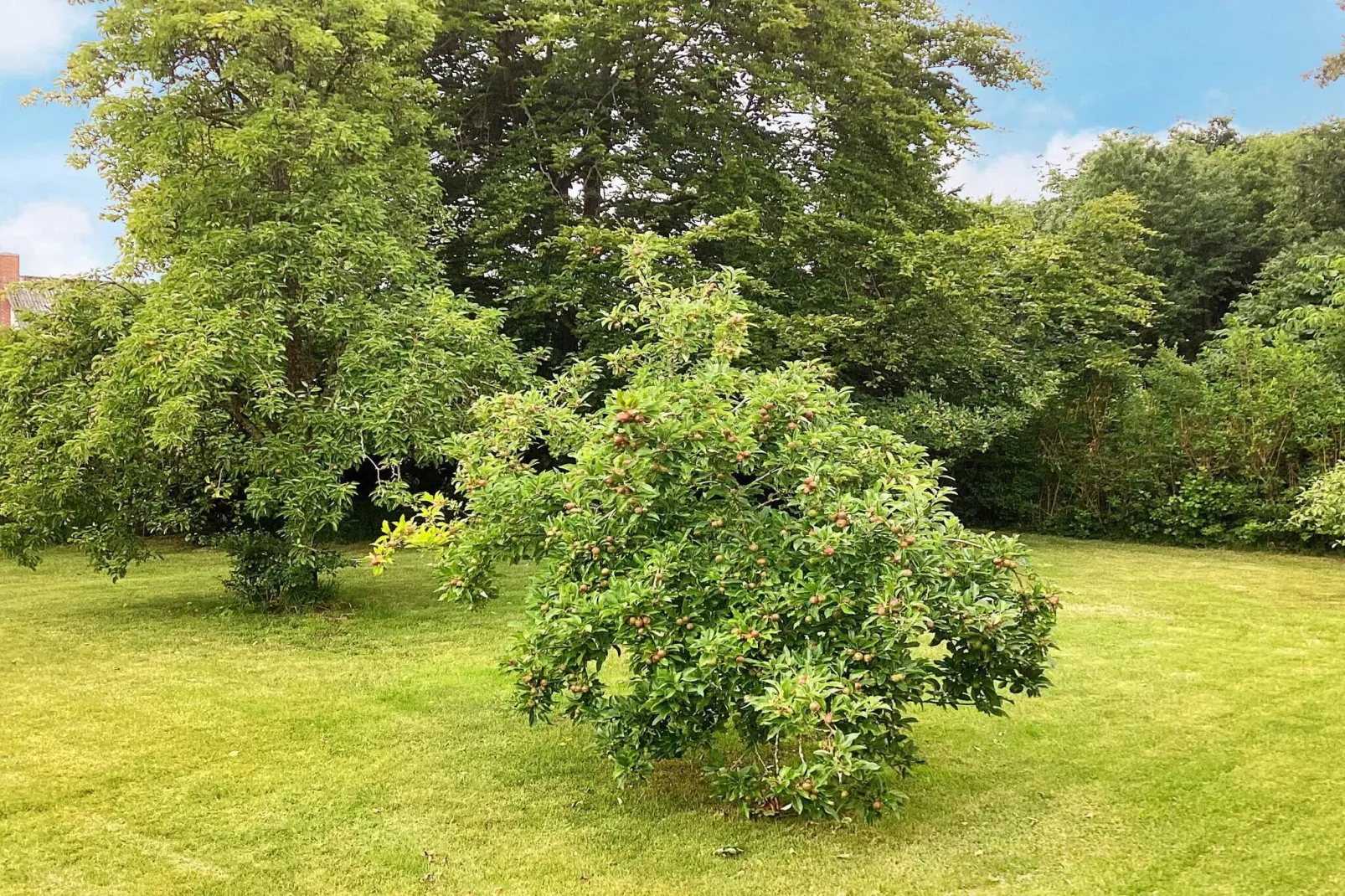 5 etoiles maison de vacances a Fur-Non tagué