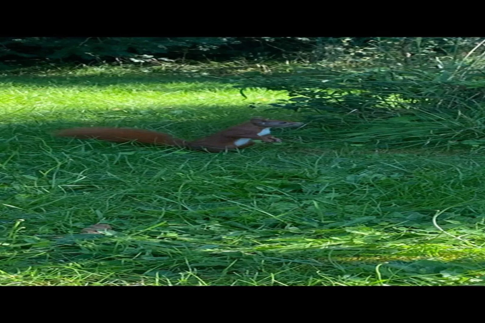 5 star holiday home in Orø-Untagged