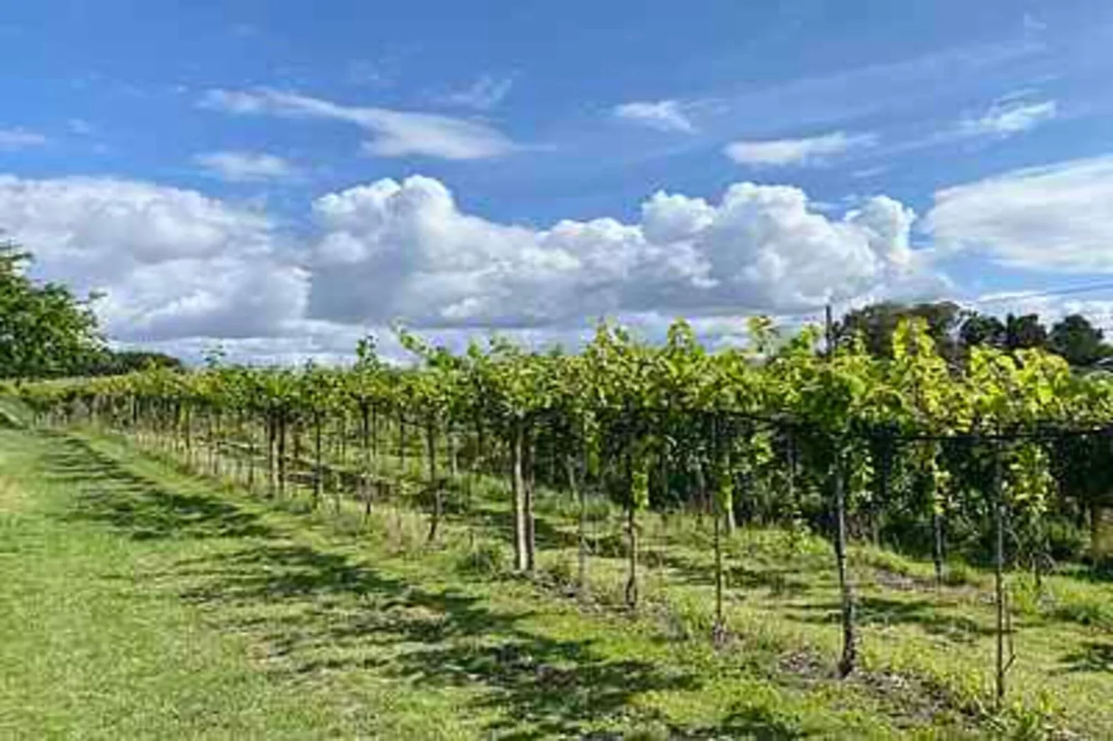 4 star holiday home in Karrebæksminde-Untagged