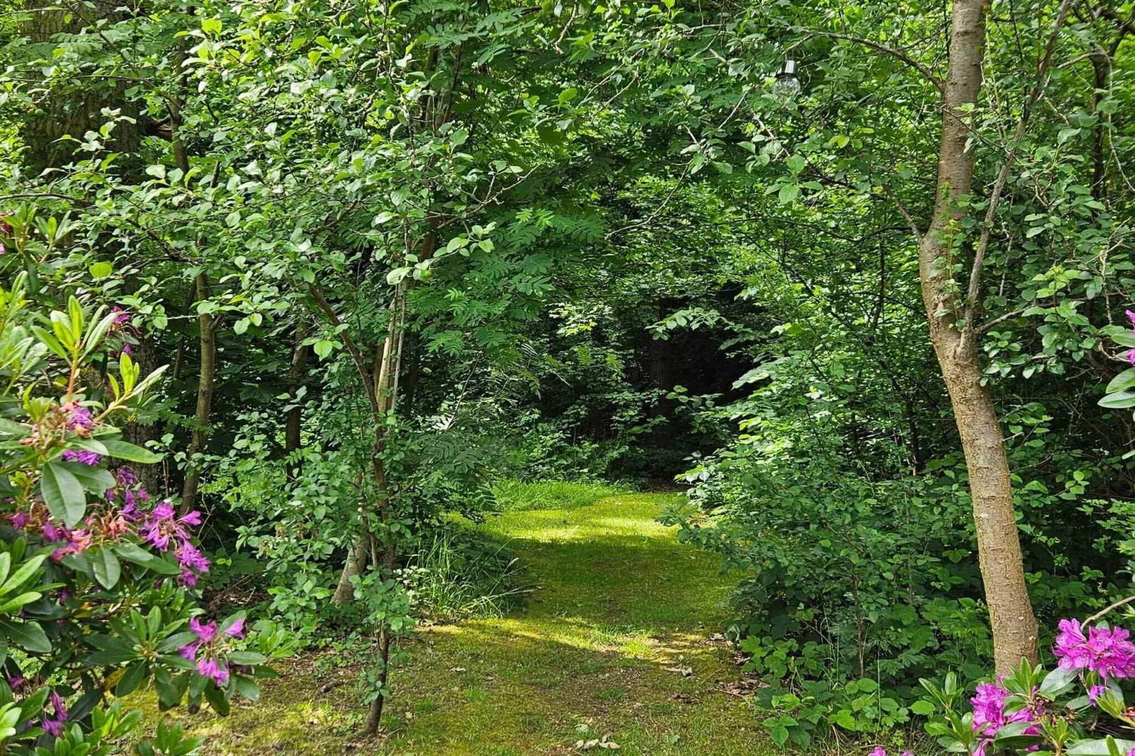 4 etoiles maison de vacances a Asnæs-Extérieur