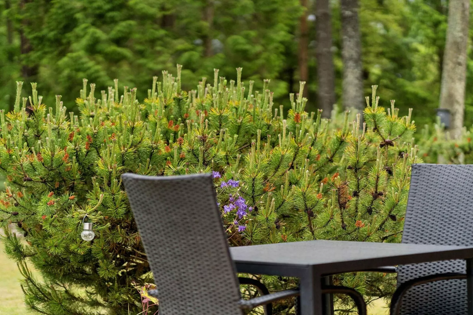 4 etoiles maison de vacances a Glesborg-Extérieur