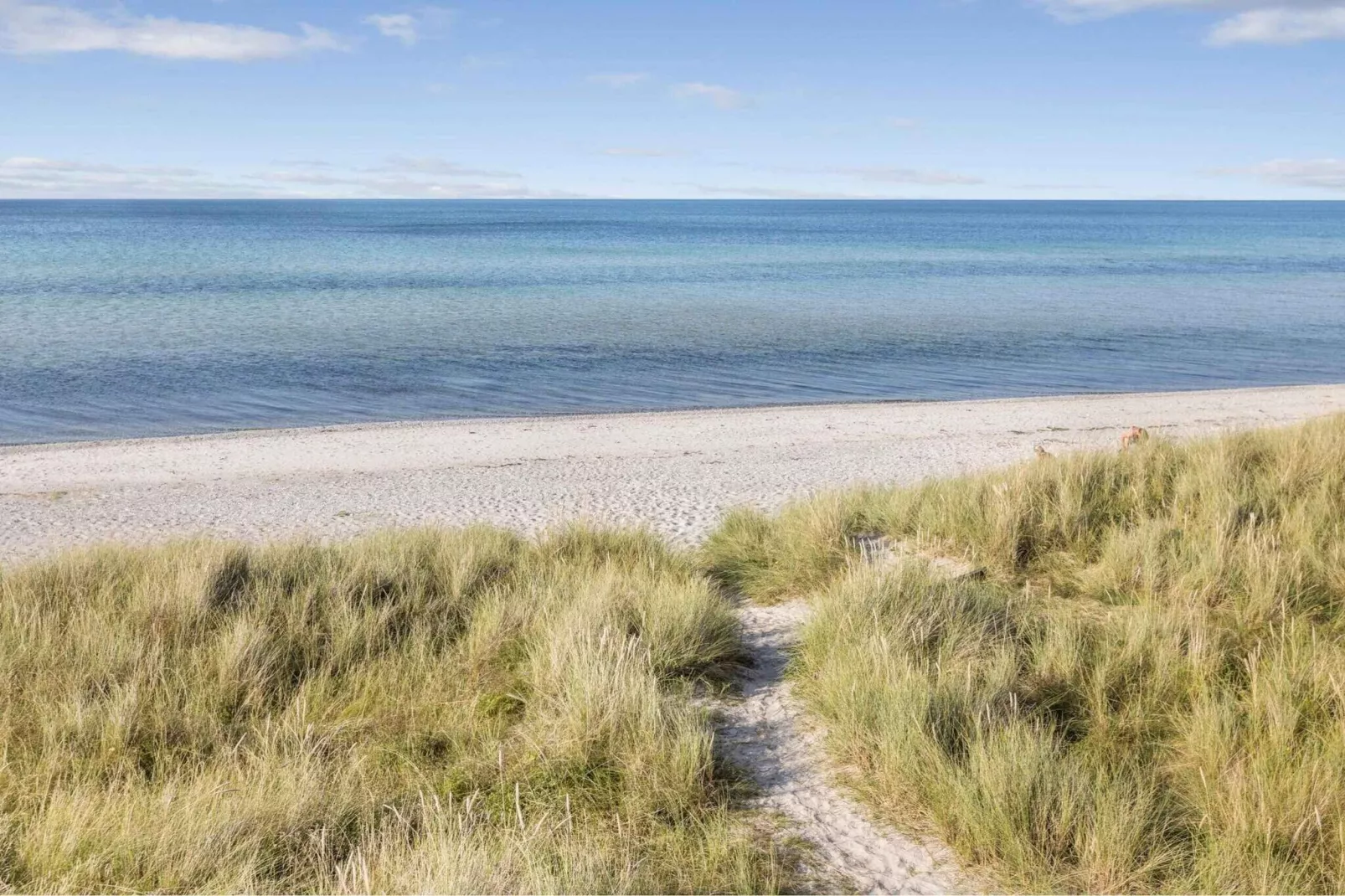 4 Sterne Ferienhaus in Nykøbing Sj-Wasserblick