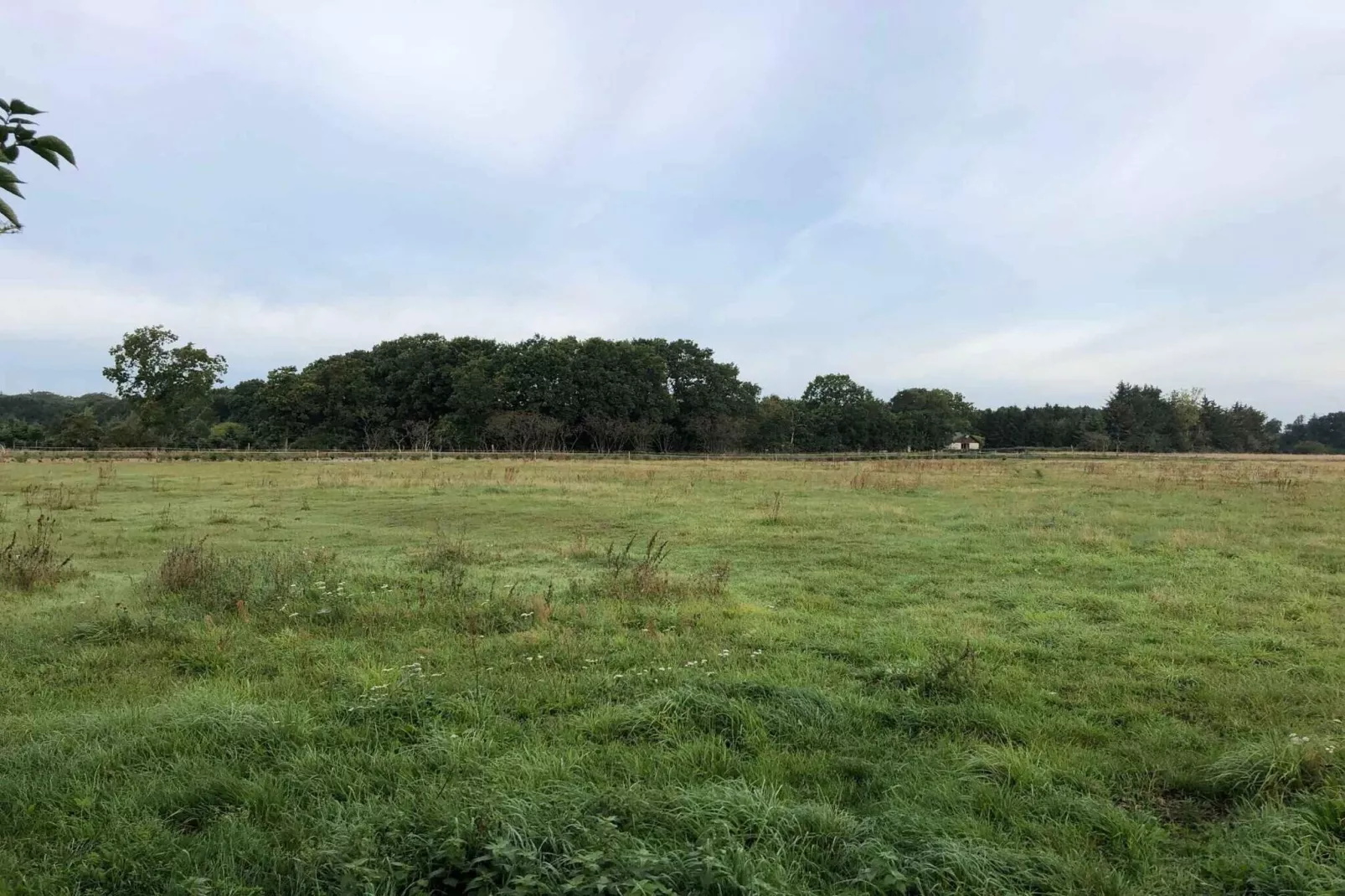 4 star holiday home in Hadsund-Outdoor