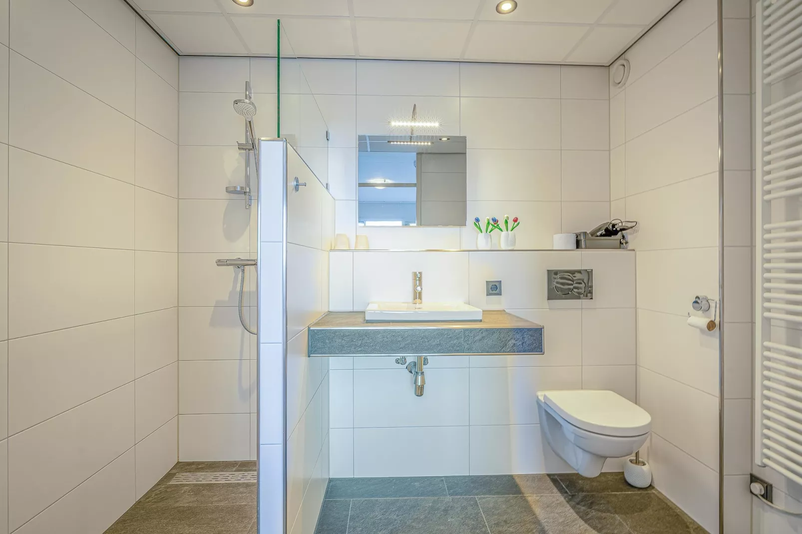 Juliana 078 - Salle de bain