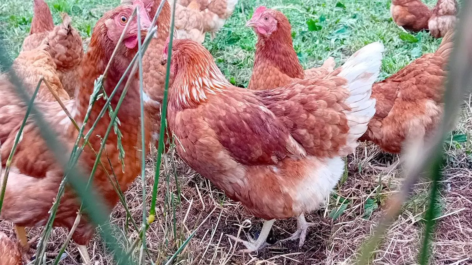 Waldacher Hof-Facilities