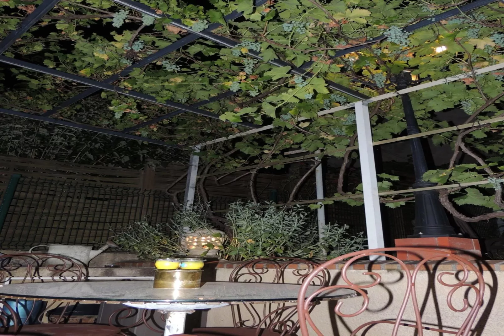 L'hôte antique-Terrasse / balcon