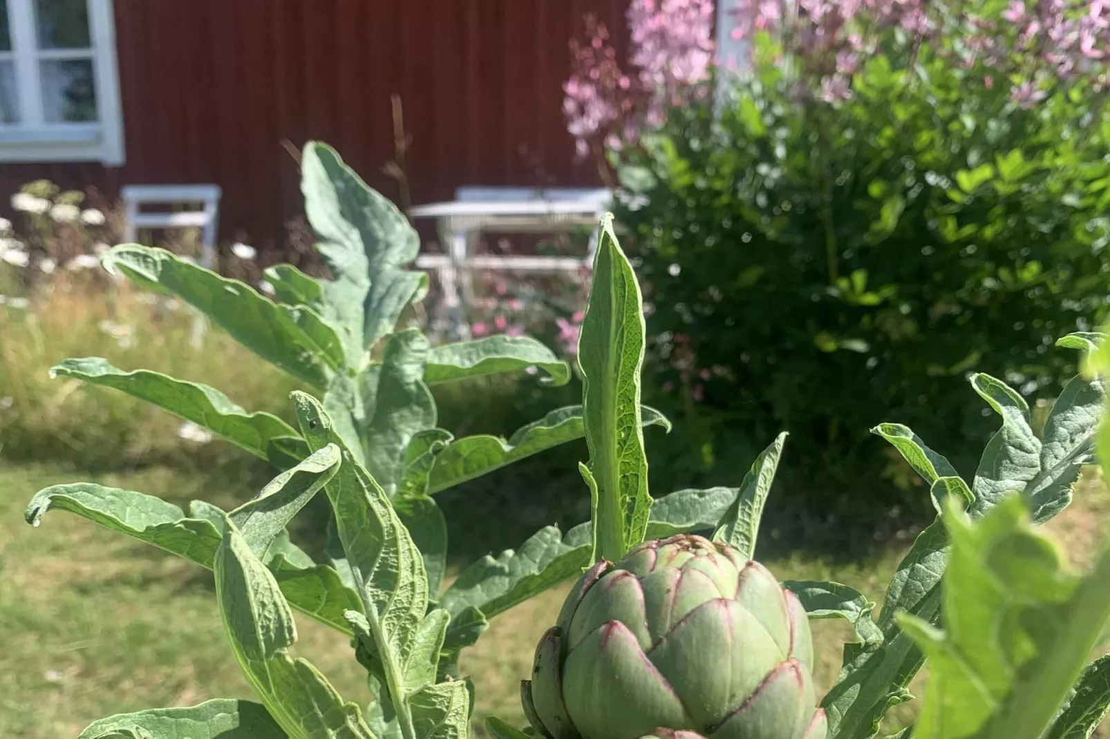 5 person holiday home in FLISBY-Outdoor