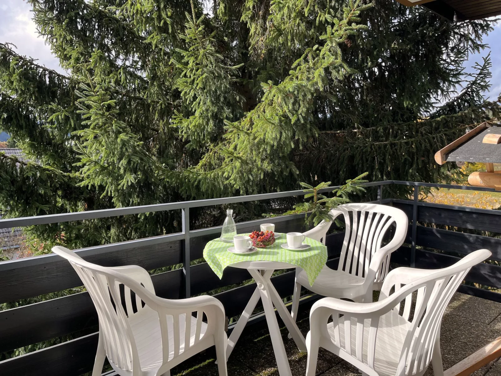 Sonnige Aussichten-Draußen