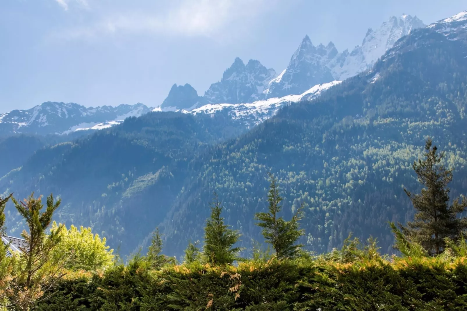 Floria-View in summer