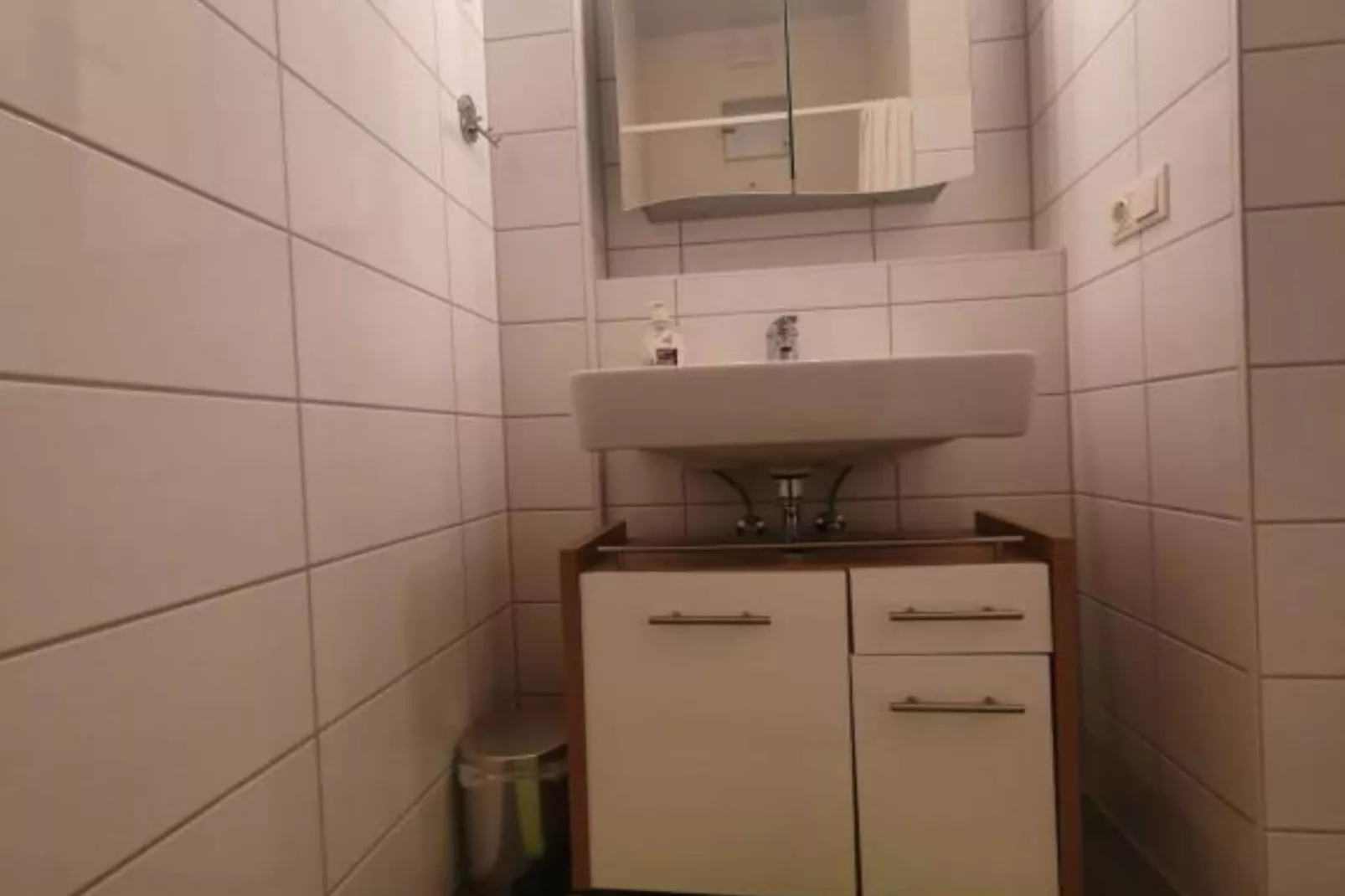 Apartment HAL  - one bedroom apartment-Bathroom