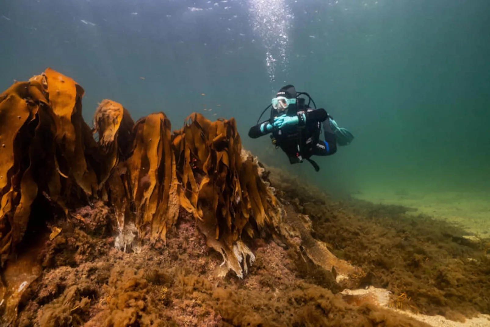 Appartements à Carraroe Galway-Nicht zugeordnet