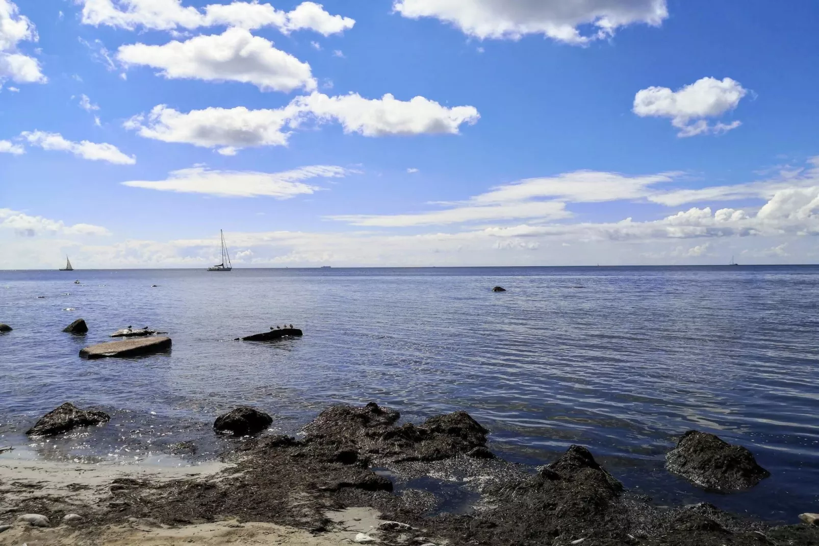 Maison de vacances pour 4 a Borre-Vue sur l'eau