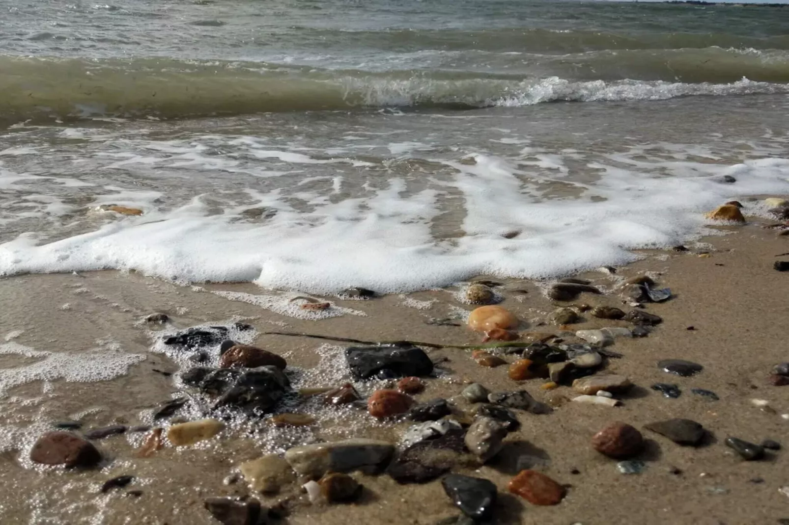 Maison de vacances pour 4 a Læsø-Vue sur l'eau