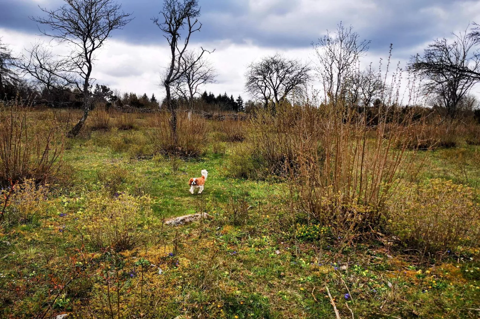 10 person holiday home in FÄRJESTADEN-Untagged