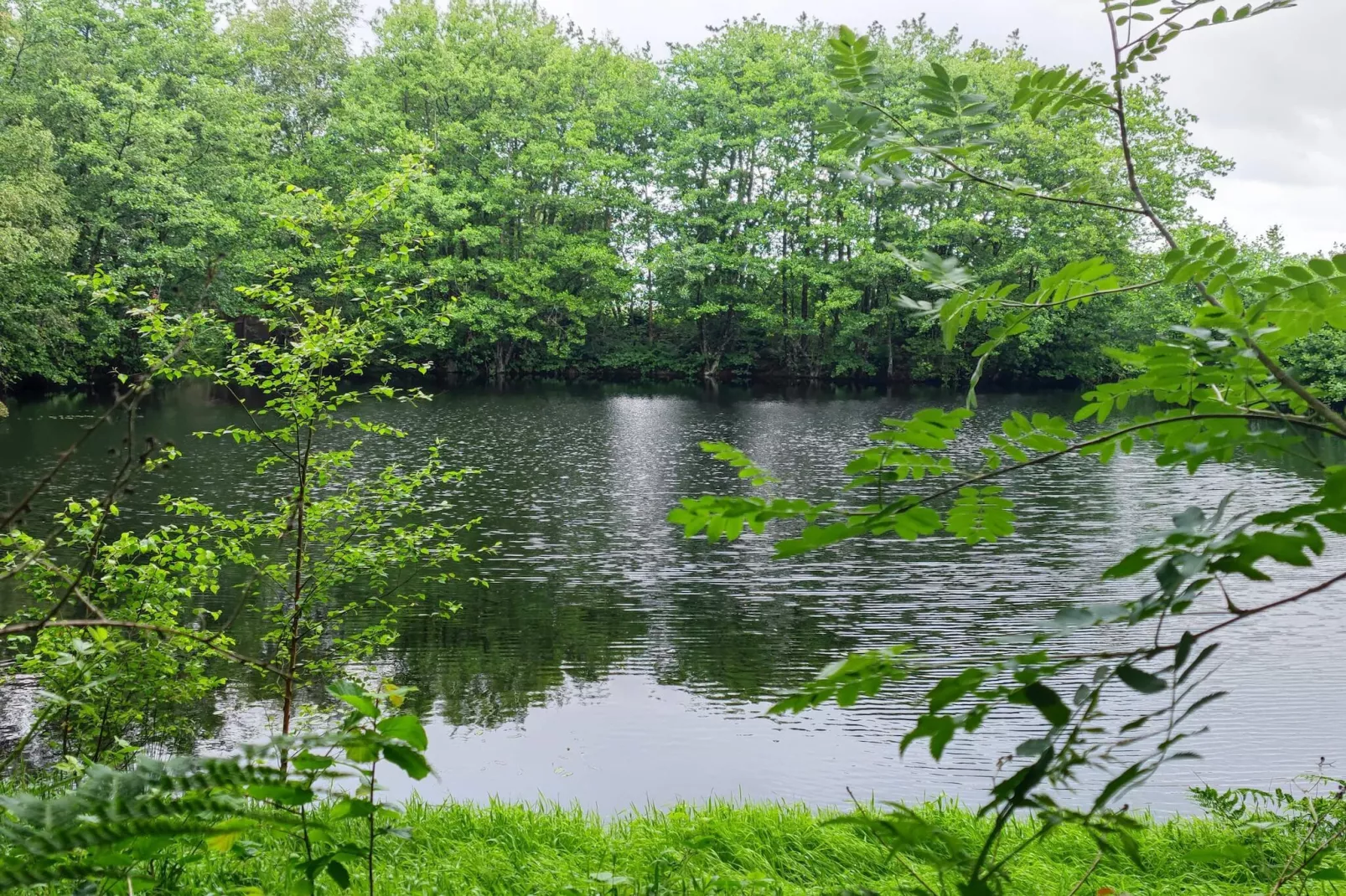 5 Personen Ferienhaus in Fanø