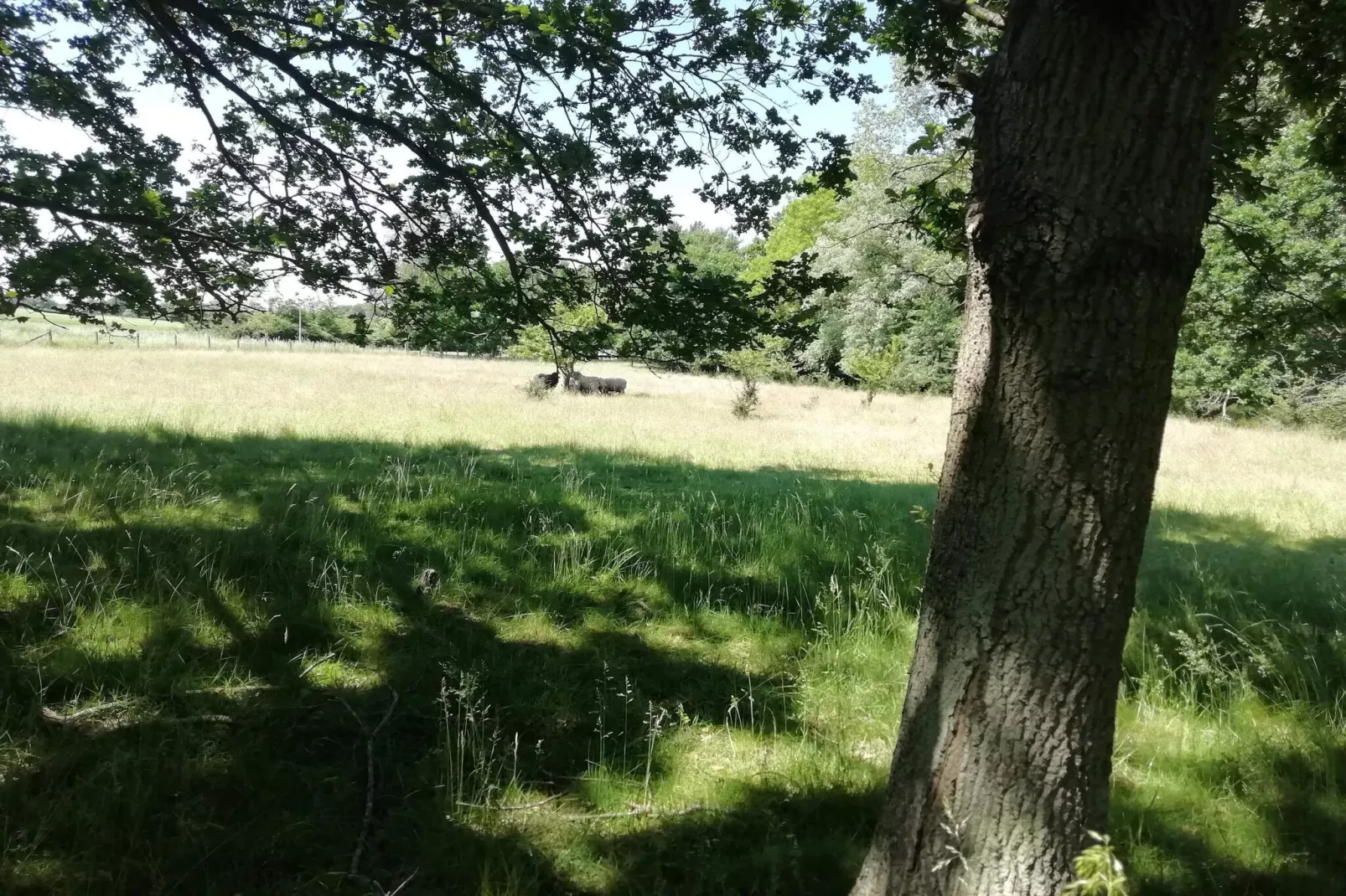 5 person holiday home in Holeby-Untagged