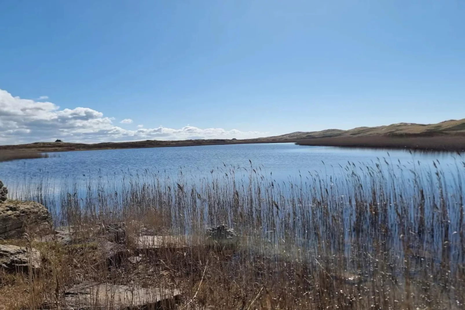 Kustliche Ruhe in Nymindegab-By Traum-Wasserblick