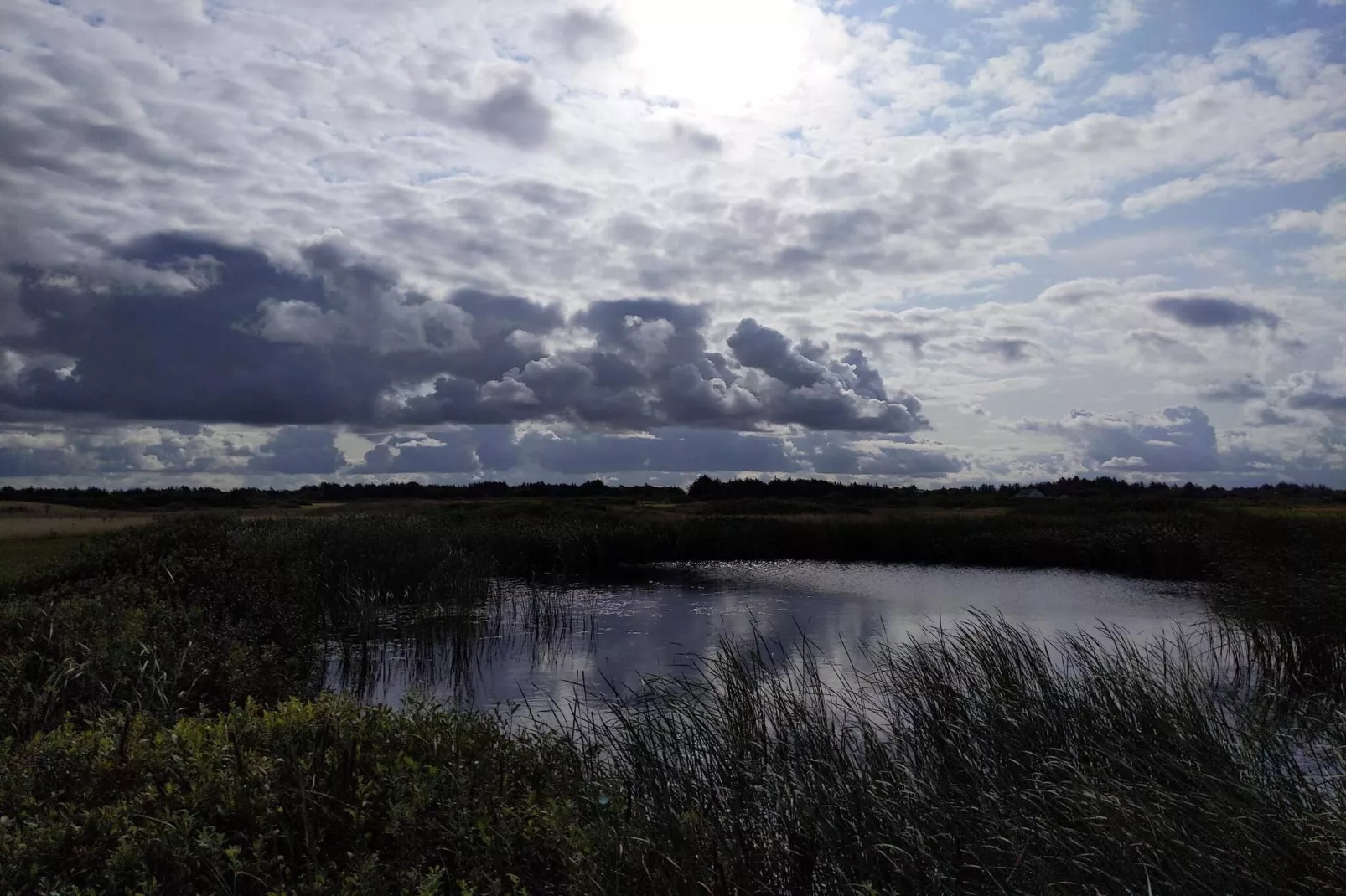 Maison de vacances pour 4 a Ringkøbing-Vue sur l'eau