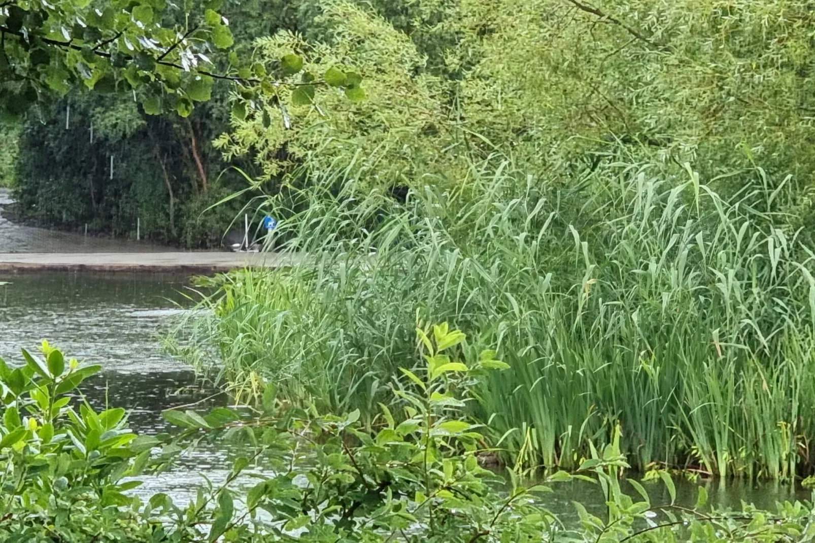 Chalet enchanteur a Oksbol Oasis-By Traum