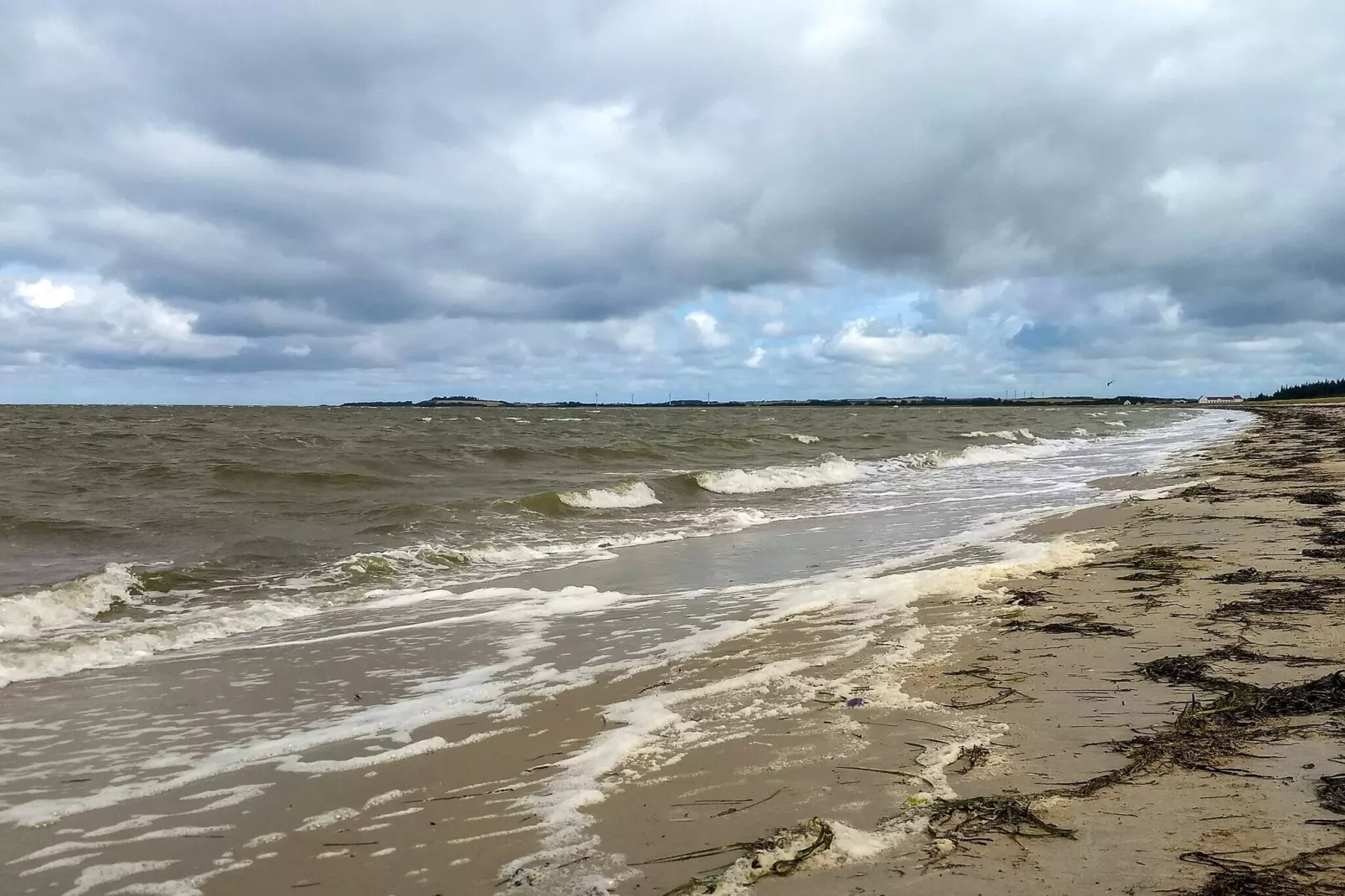 Secluded Forest Haven-By Traum-Water view