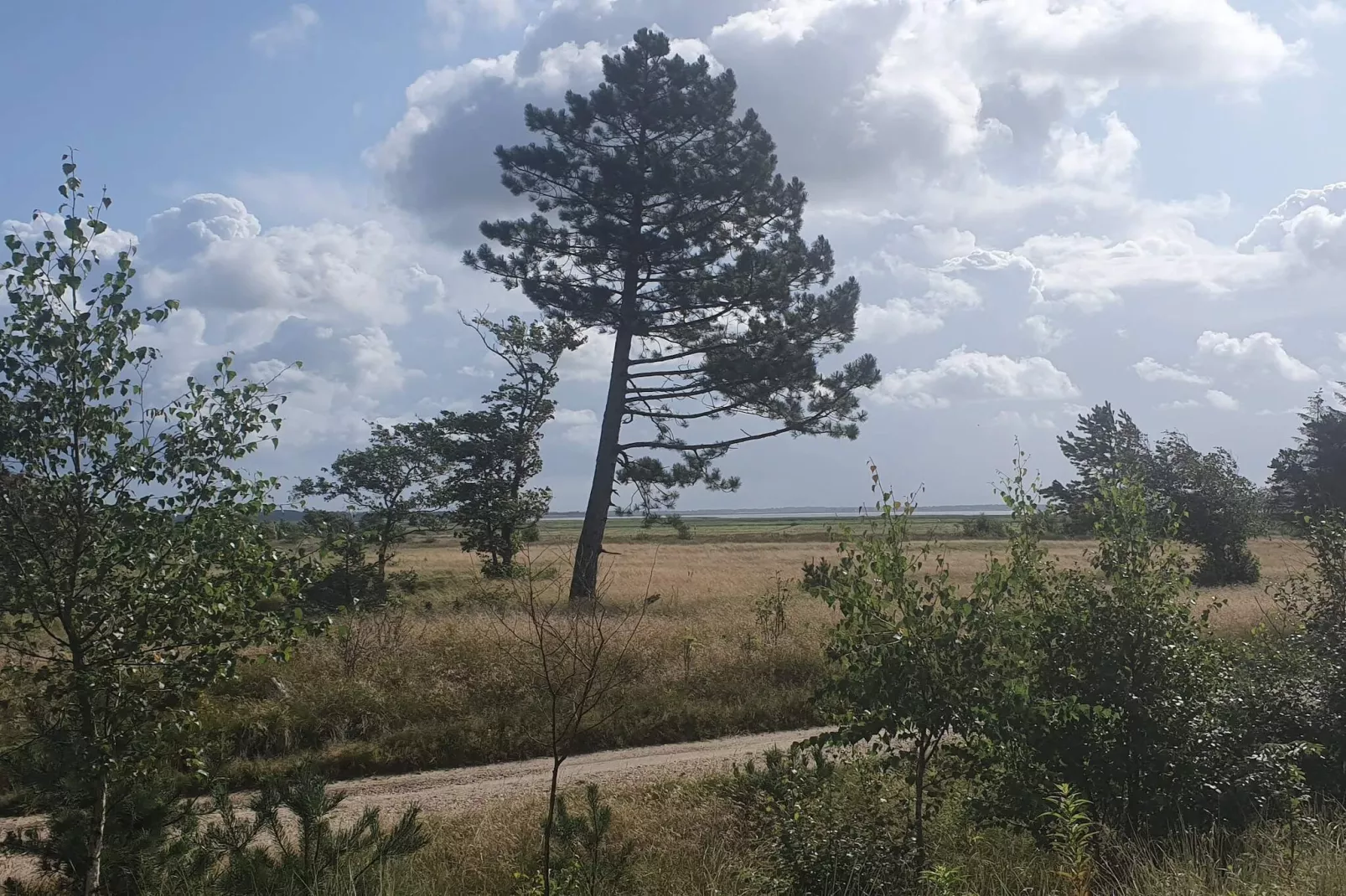 4 person holiday home in Oksbøl-Untagged