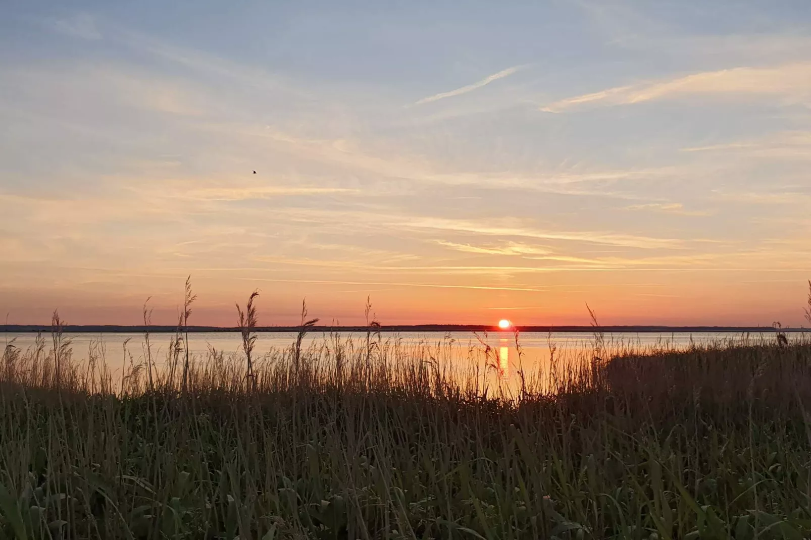 Maison de vacances pour 10 a Stege-Vue sur l'eau