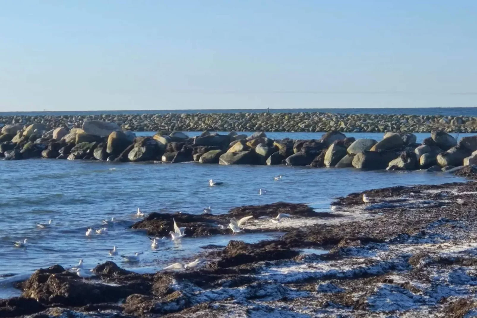 Maison de vacances pour 6 a Dannemare-Vue sur l'eau