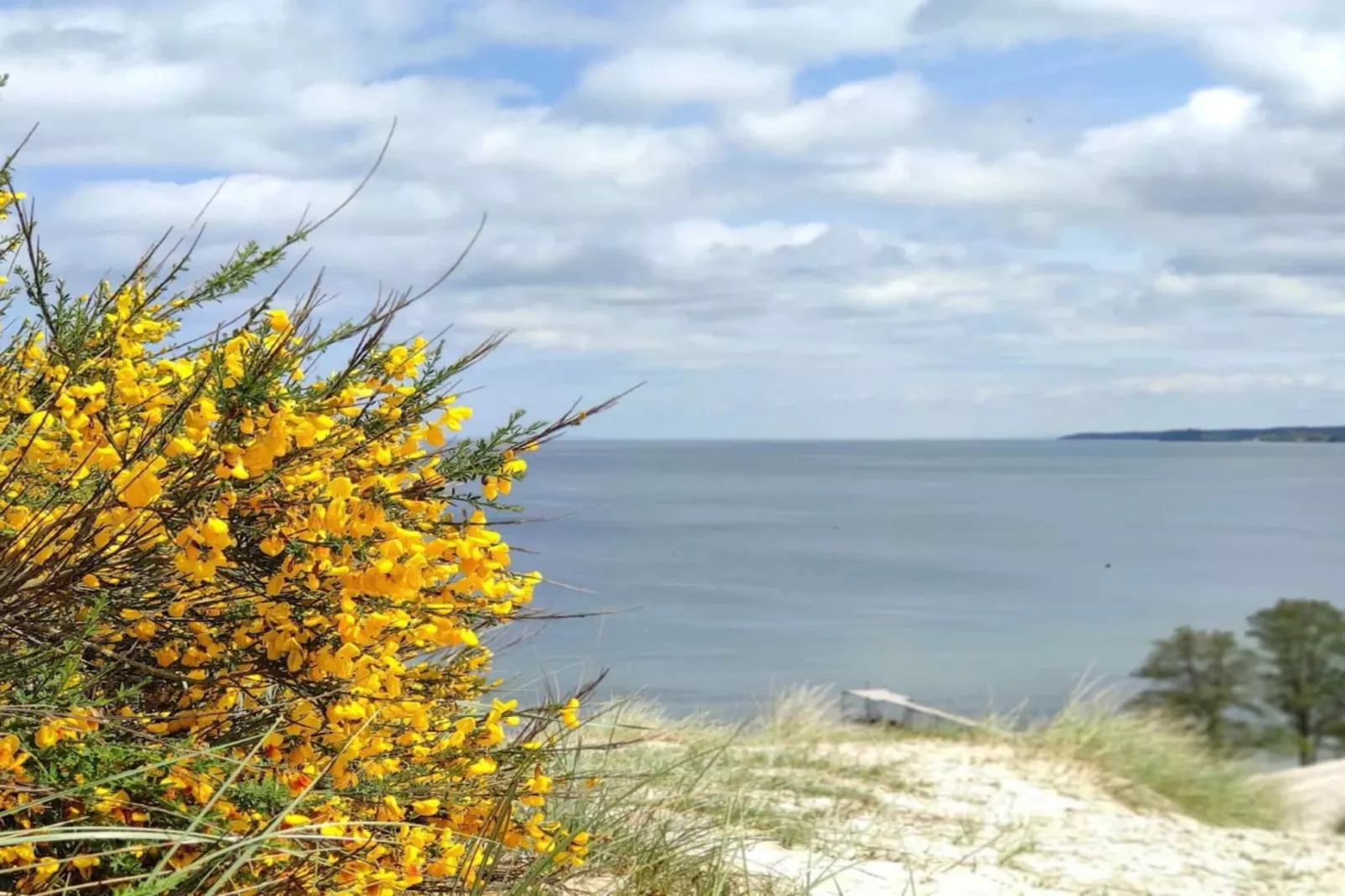 Secluded Haven in Hvidbjerg - By Traum Ferienwohnungen-Water view