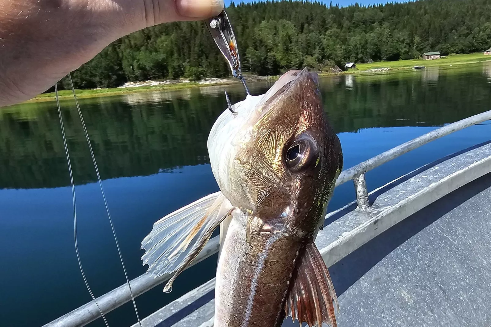 7 Personen Ferienhaus in Foldereid-By Traum-Nicht zugeordnet