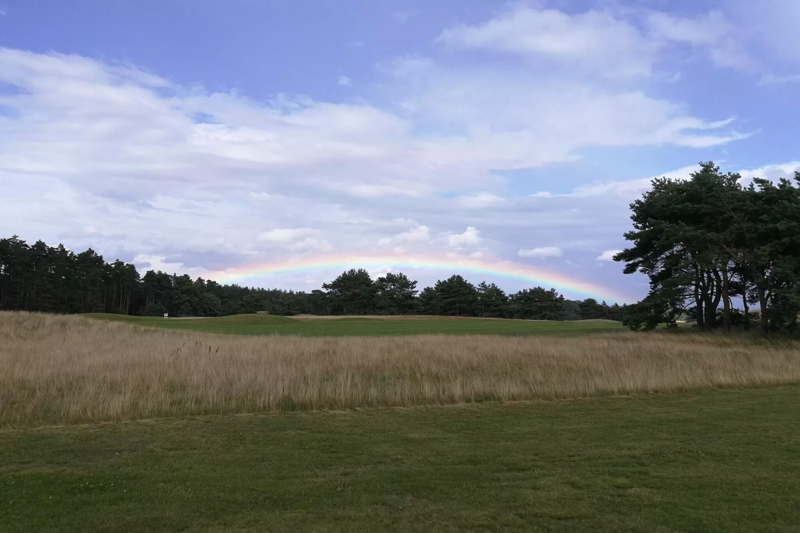 6 person holiday home in DEGEBERGA-By Traum-Untagged