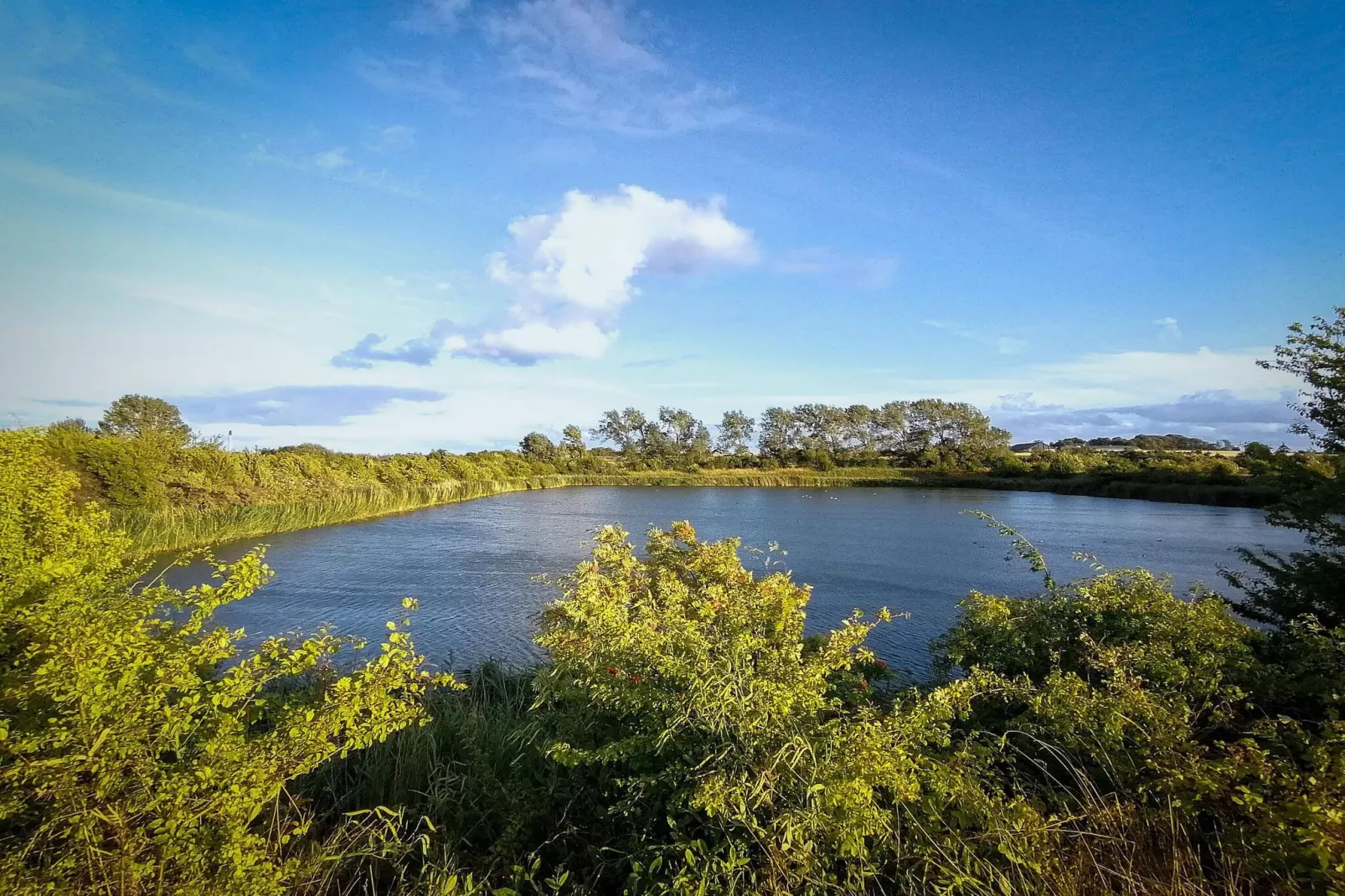 Maison de vacances pour 7 a Stege-By Traum-Vue sur l'eau