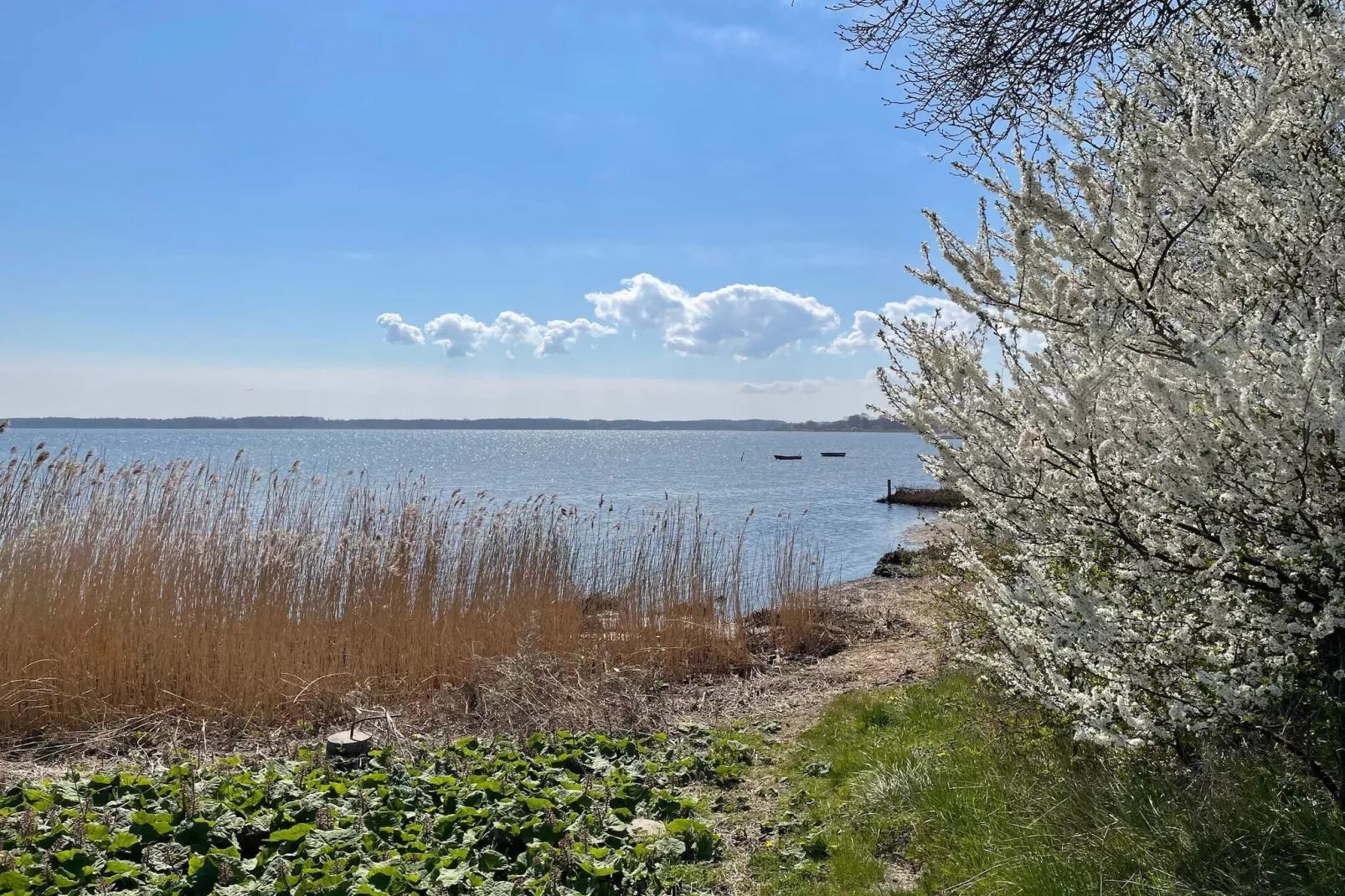 Seaside Escape in Praesto - By Traum Ferienwohnungen-Water view