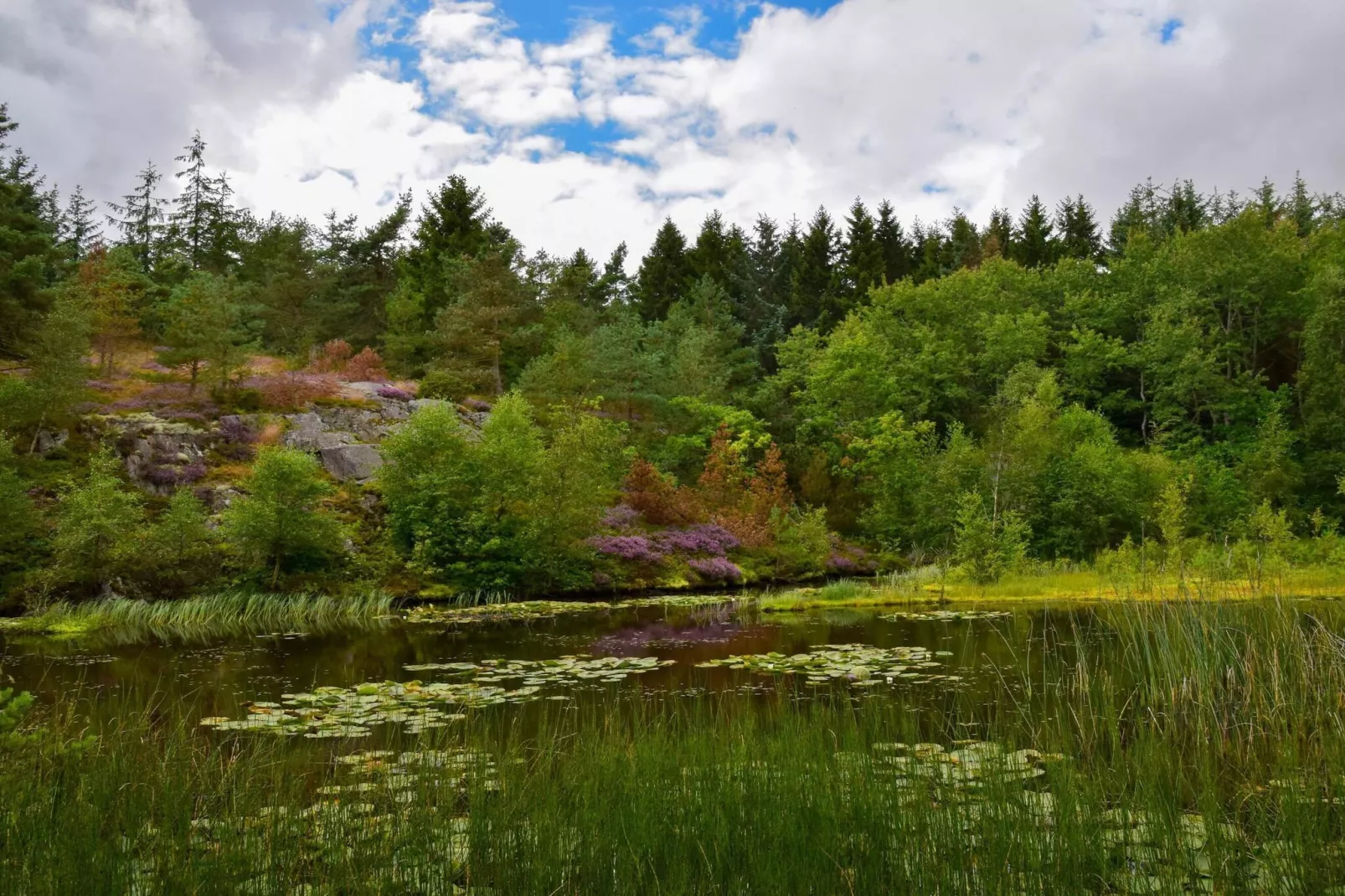 Idyllisches Meer in Svaneke -- By Traum Ferienwohnungen-Nicht zugeordnet