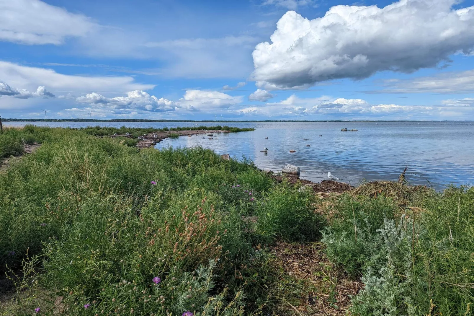 Maison de vacances pour 4 a BERGKVARA-By Traum-Vue sur l'eau