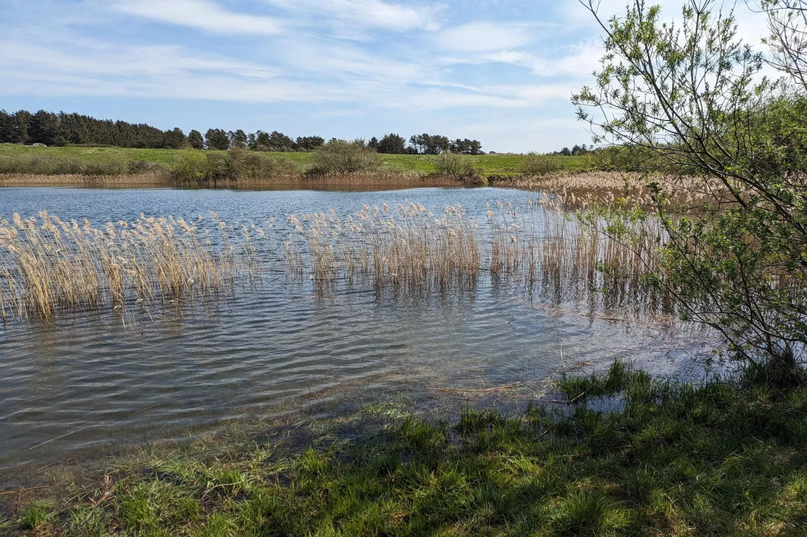 Maison de vacances pour 6 a Pandrup-Vue sur l'eau